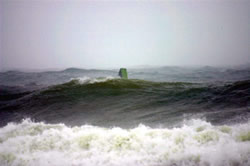 jordi-palma-palmer.jpg jordi-palma-palmer.jpg