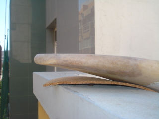 DSC03076.JPG