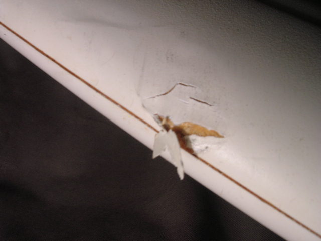 DSCN0270.JPG