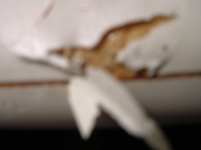 DSCN0273.JPG