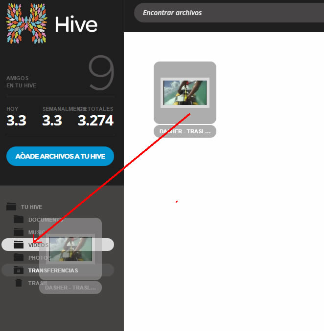 hive 3.jpg