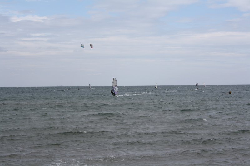 IMG_1937.jpg