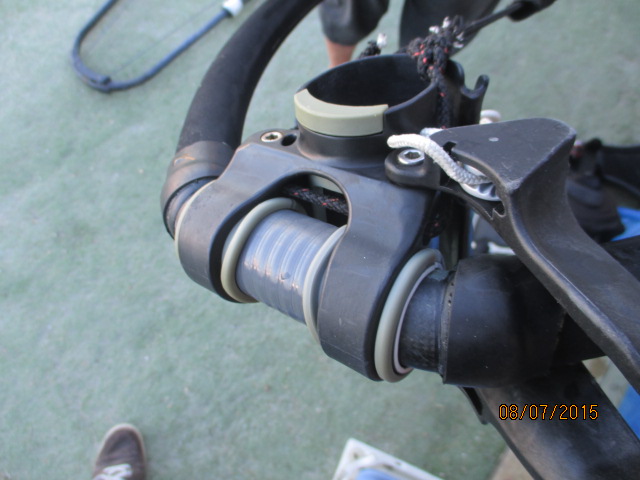 IMG_4567.jpg