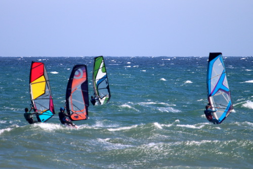 IMG_5856p.jpg