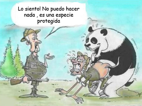 MALA SUERTE.jpg