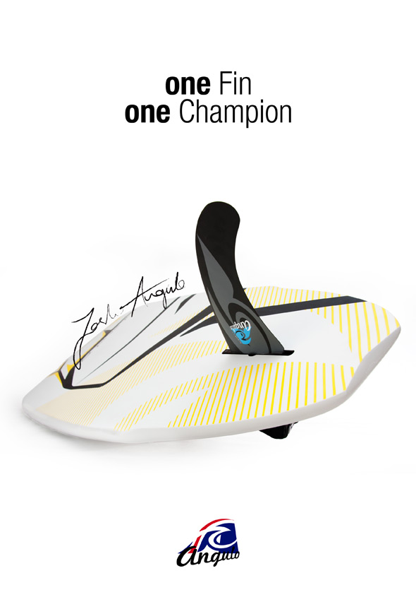 one-fin-one-champ.jpg