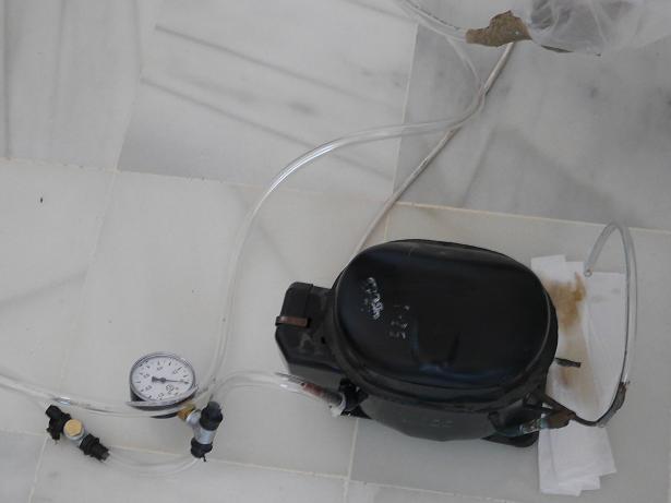 P1030865a.jpg