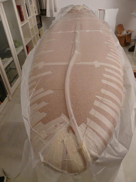 P1030895a.jpg
