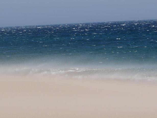 P1070661a.jpg