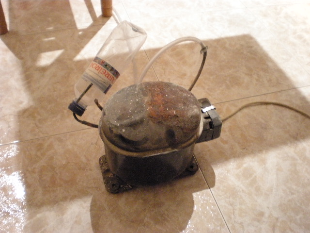 P2270325.JPG