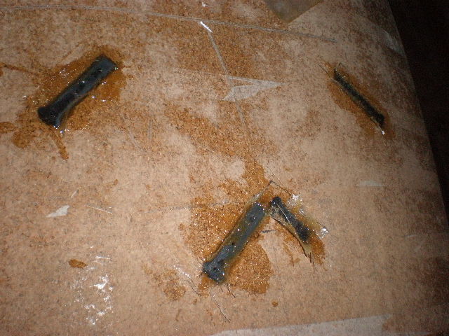 P4040050.JPG