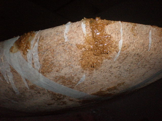 P4040055.JPG