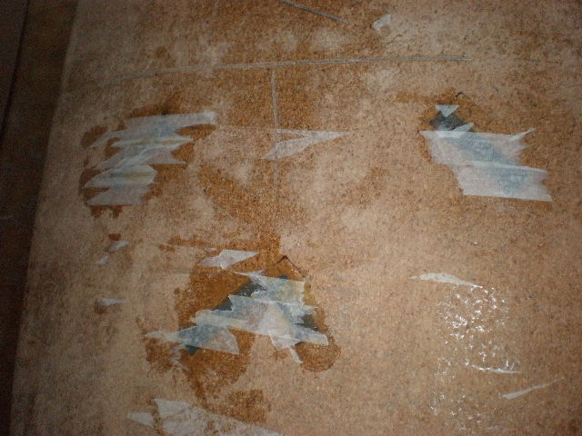 P4050042.JPG