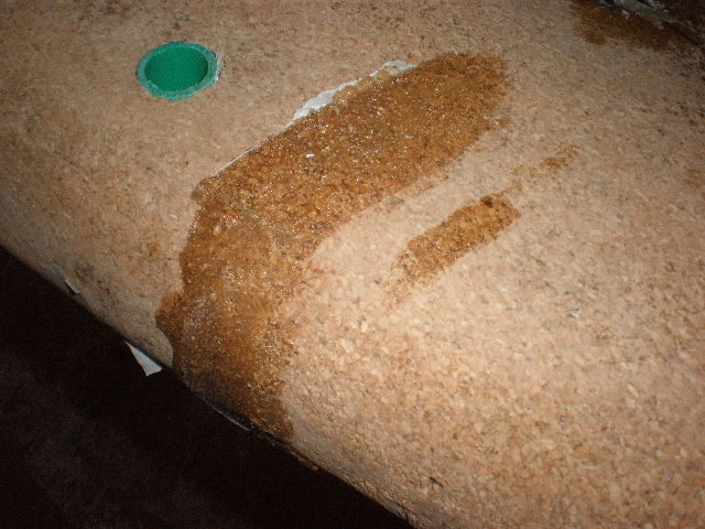 P4050045.JPG