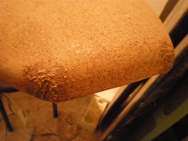 P4280007.JPG