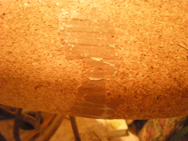 P4290009.JPG