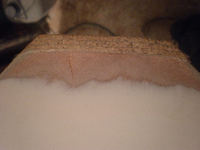 P5030014.JPG