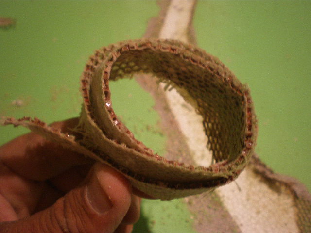P8270047.JPG