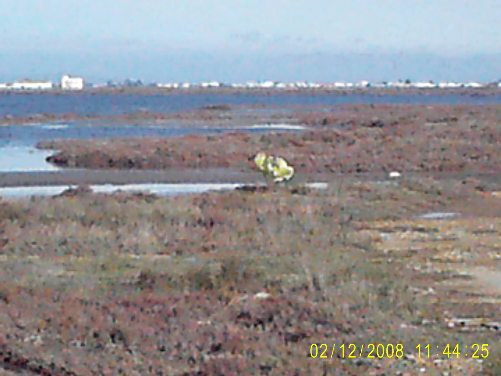 PIC_0001.JPG