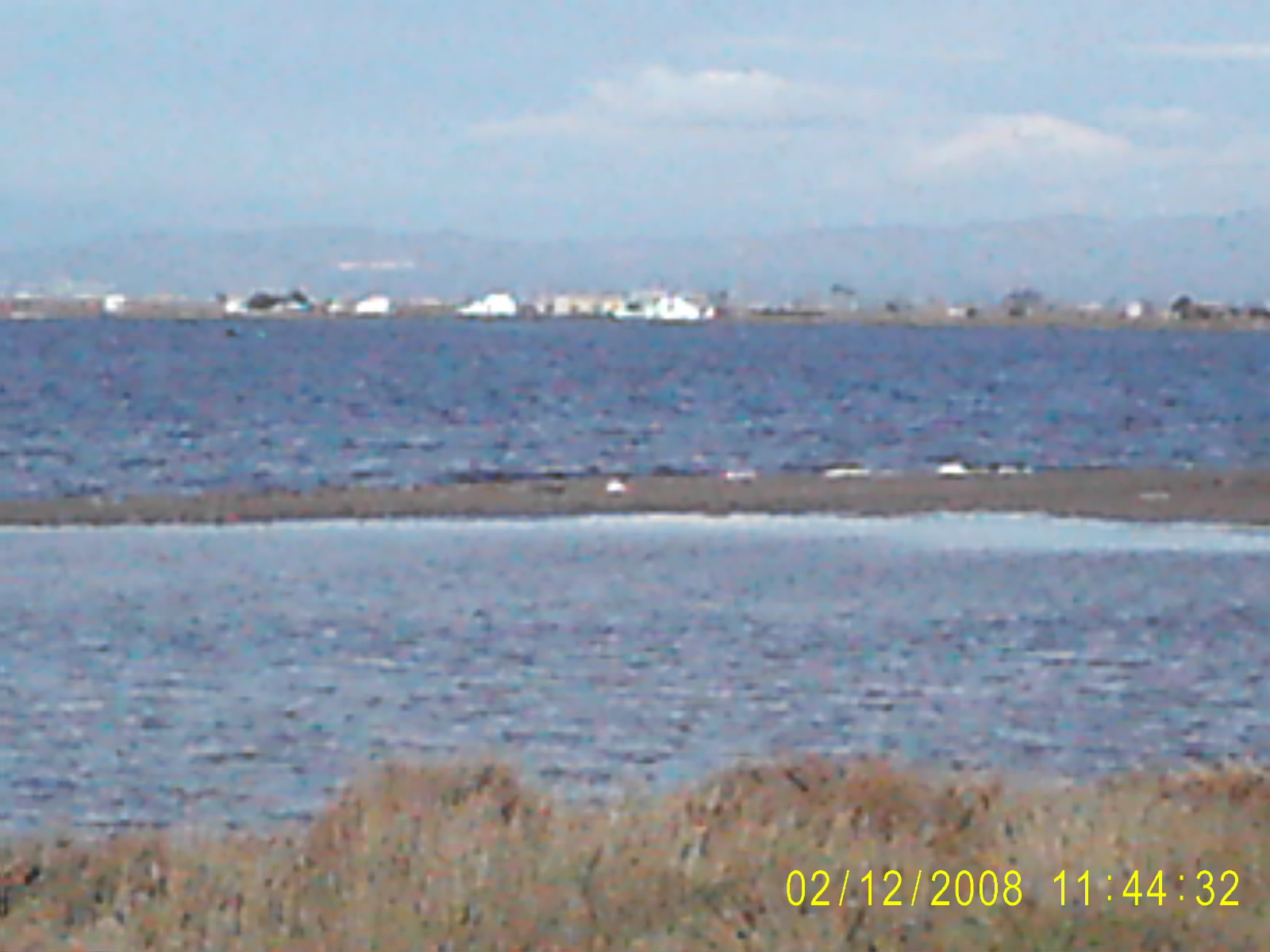 PIC_0002.JPG