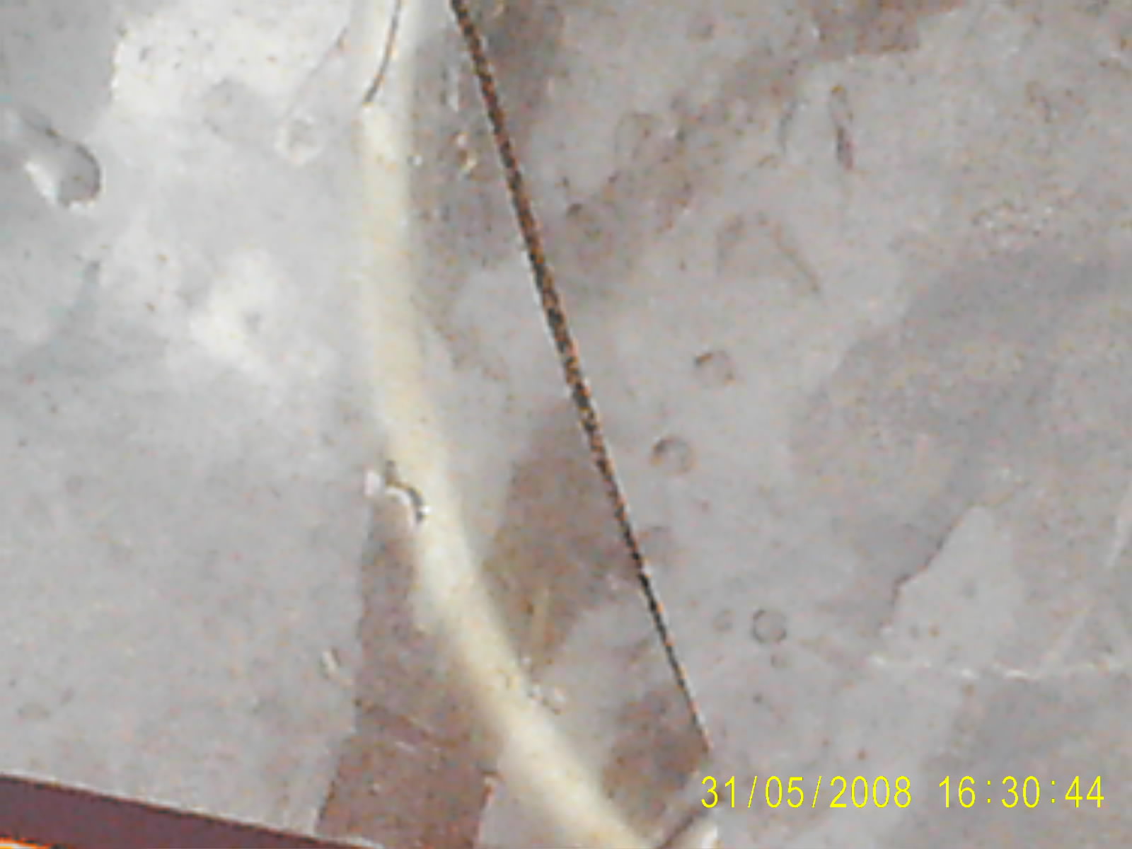 PIC_0004.JPG