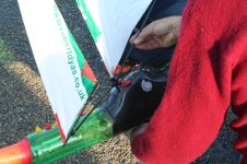 IMG_3295.jpg