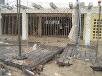 IMG_0969.jpg