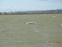 cazalegas9.JPG