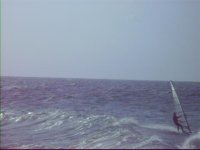 PICT1490a.jpg