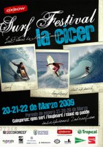 PosterFestivalOrg copia.jpg