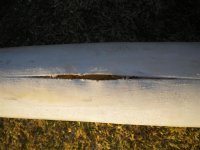 Tiga Slalom 006 (Medium).jpg