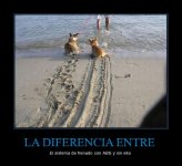 CR_256175_la_diferencia_entre.jpg