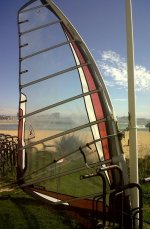 IMG00237-20110313-1134.jpg