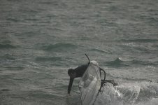 DSC_4296.JPG