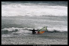 IMG_3494.jpg