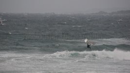 DSC03003.jpg