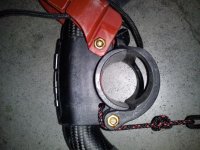 DSC03638 [800x600].jpg