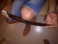 29042012556.jpg
