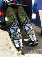 barrracuda - copia.JPG