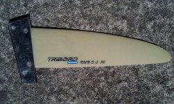 IMAG0460 (Medium).jpg