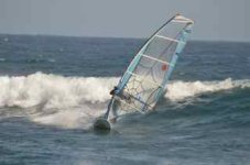 DSC_1124.jpg