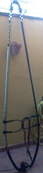 la foto (1)botavara2.JPG