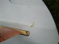 2013-05-01 17_opt (2).jpg