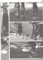 Documento escaneado-4.jpg