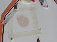DSC00049.JPG