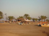 DSC00558.JPG