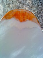 DSC00026.JPG
