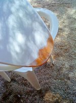DSC00035.JPG