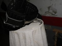 harness 2.jpg