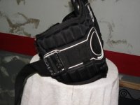 harness 3.jpg
